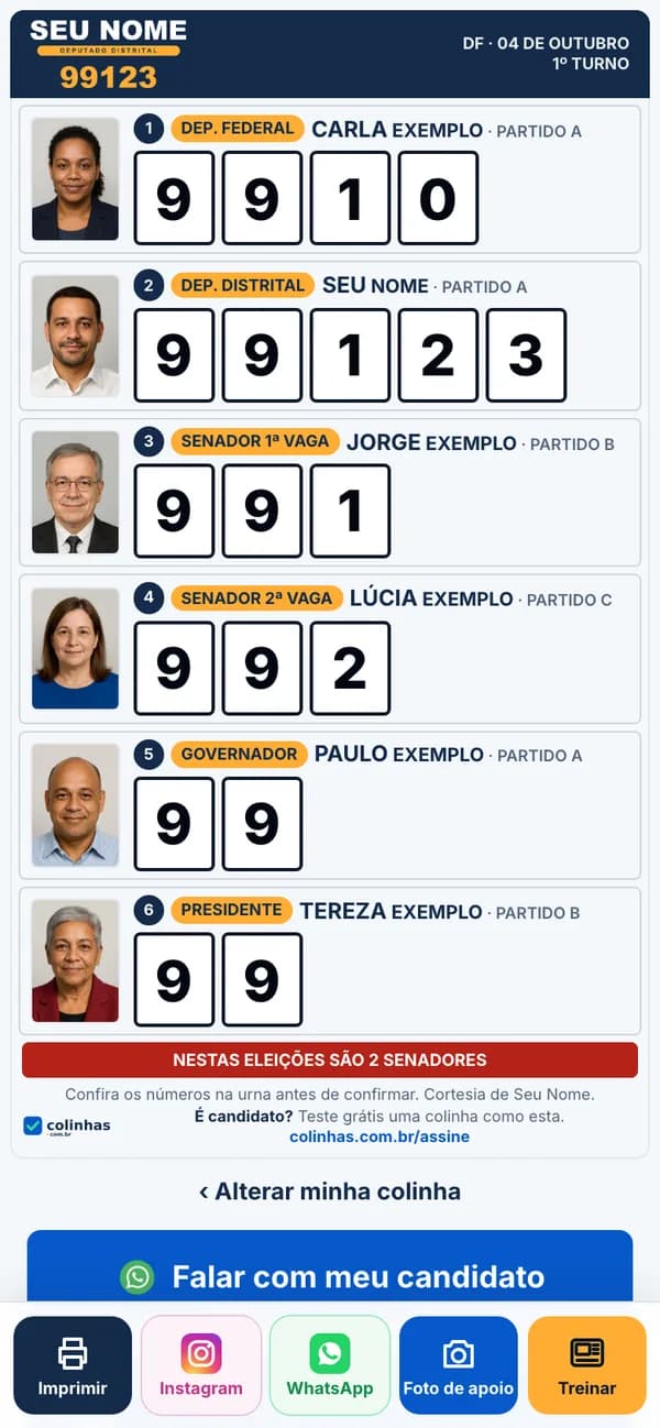 Colinha pronta no celular, com os seis cargos e os números em caixas grandes
